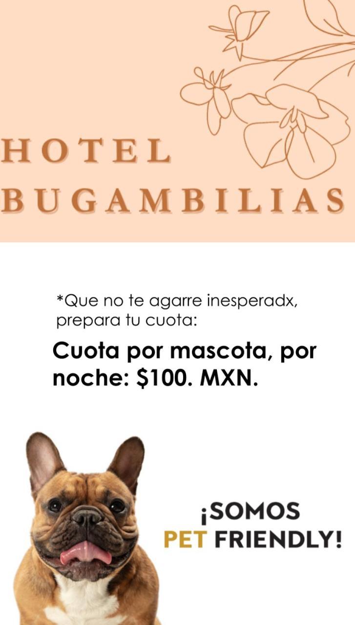Hotel Bugambilias Oaxaca Exteriör bild